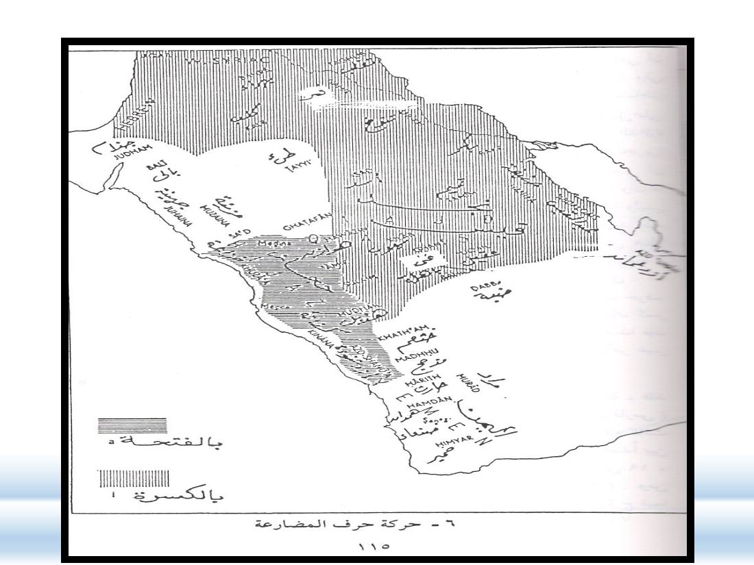 الصلة بين العربيّة والعلوم الأخرى- عبد العزيز الحميد- ملتقى عالمية اللغة العربية بجامعة نورة.pptx — صفحة 25