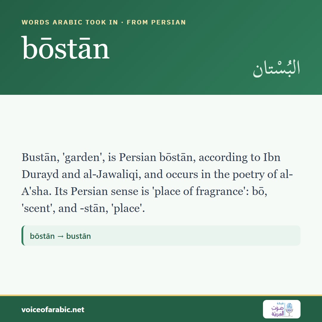 تنزيل البطاقة الإنجليزيّة