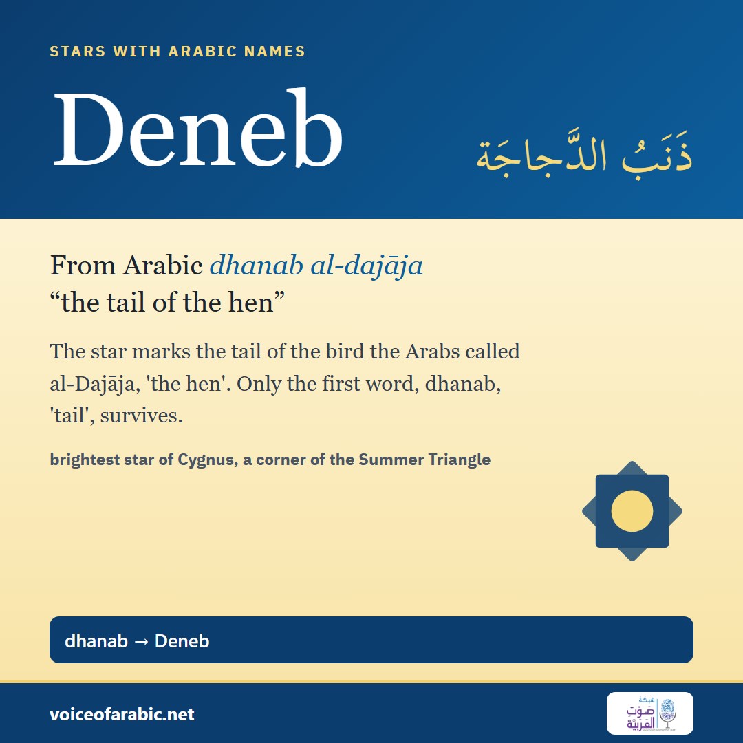تنزيل البطاقة الإنجليزيّة