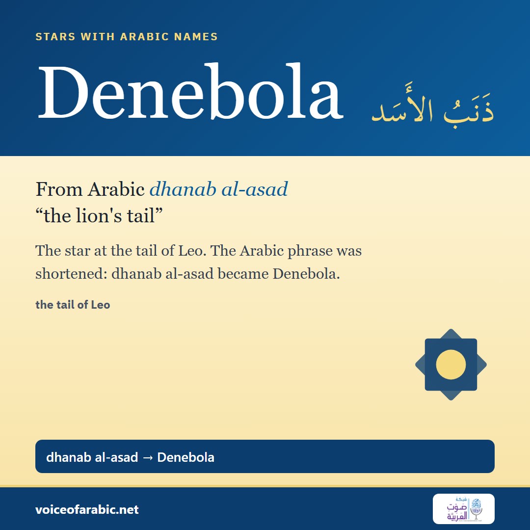 تنزيل البطاقة الإنجليزيّة