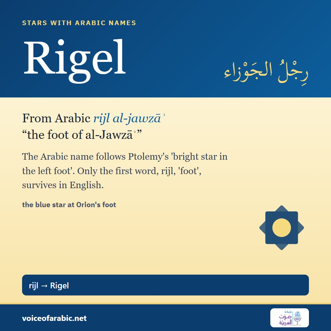 Rigel