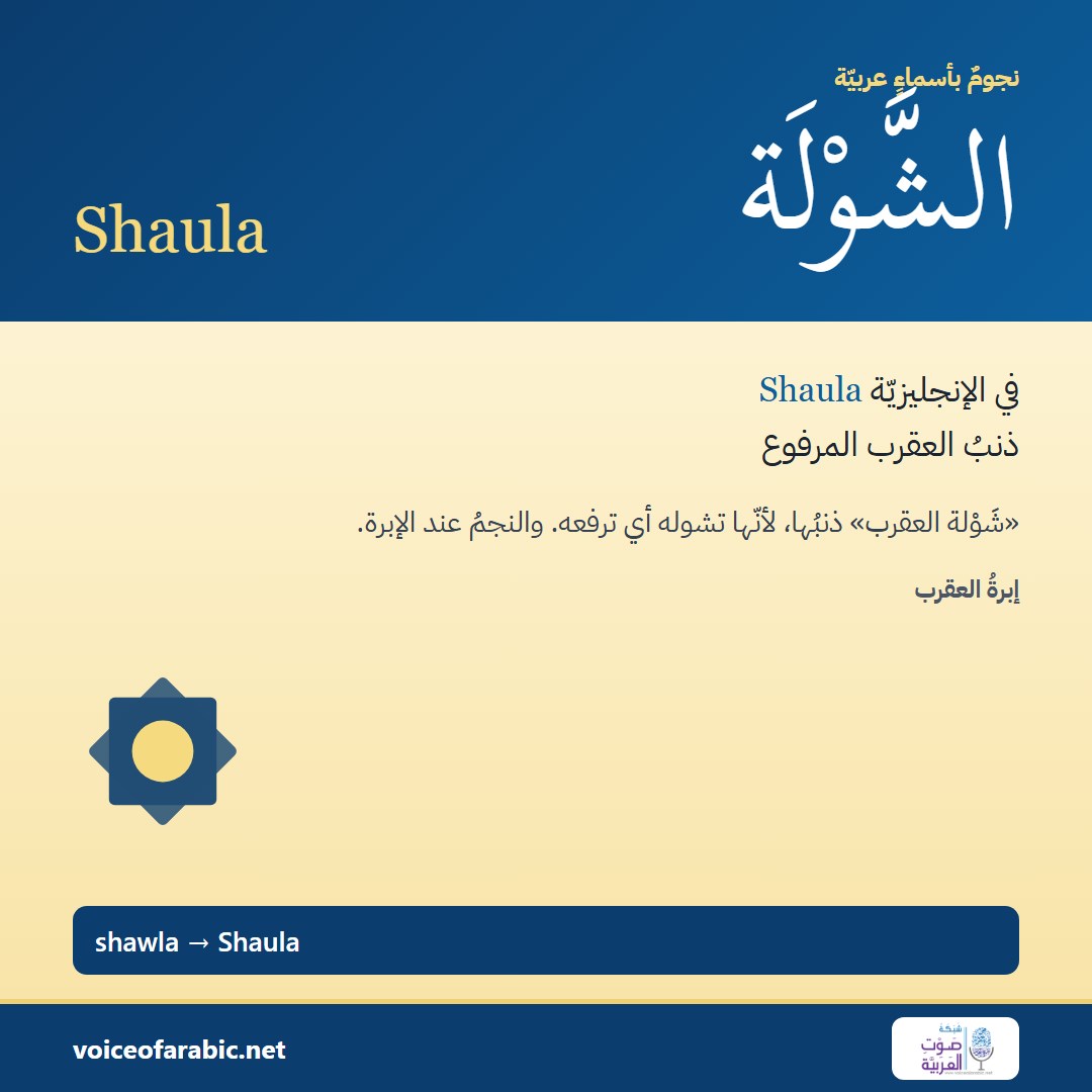 تنزيل البطاقة العربيّة