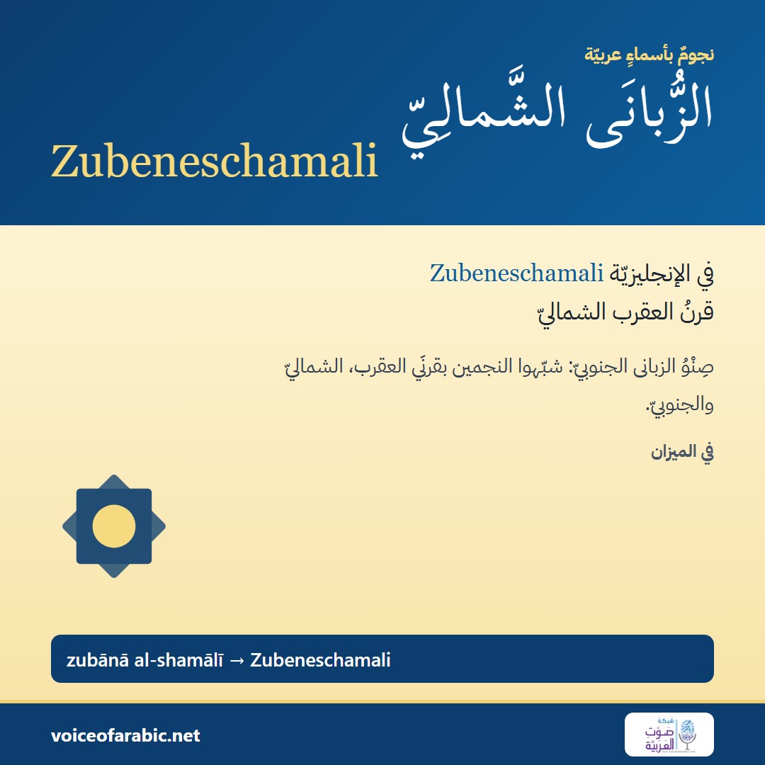 تنزيل البطاقة العربيّة