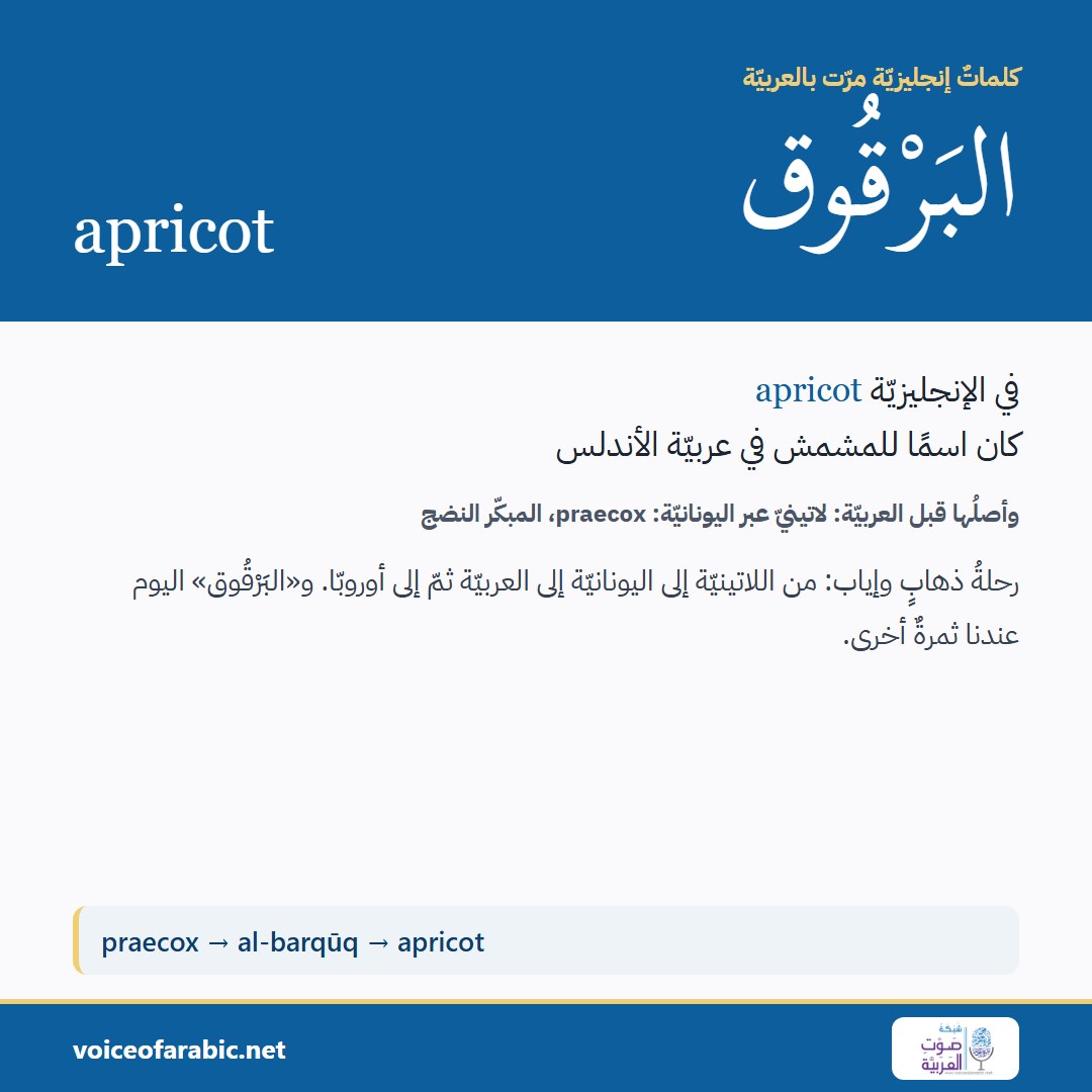 تنزيل البطاقة العربيّة