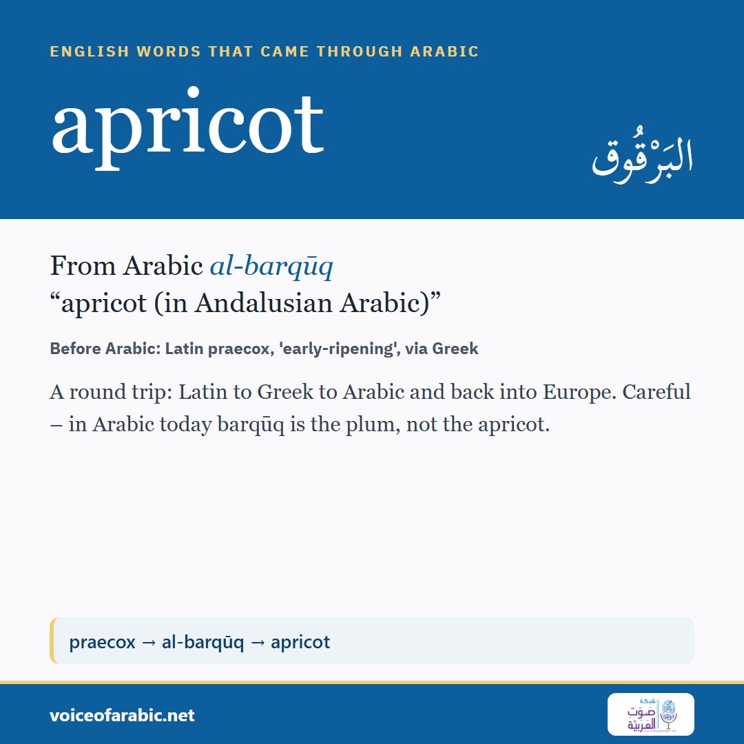 تنزيل البطاقة الإنجليزيّة