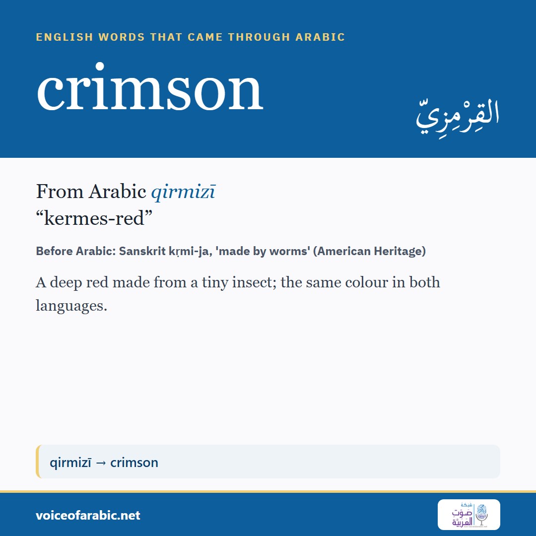 تنزيل البطاقة الإنجليزيّة