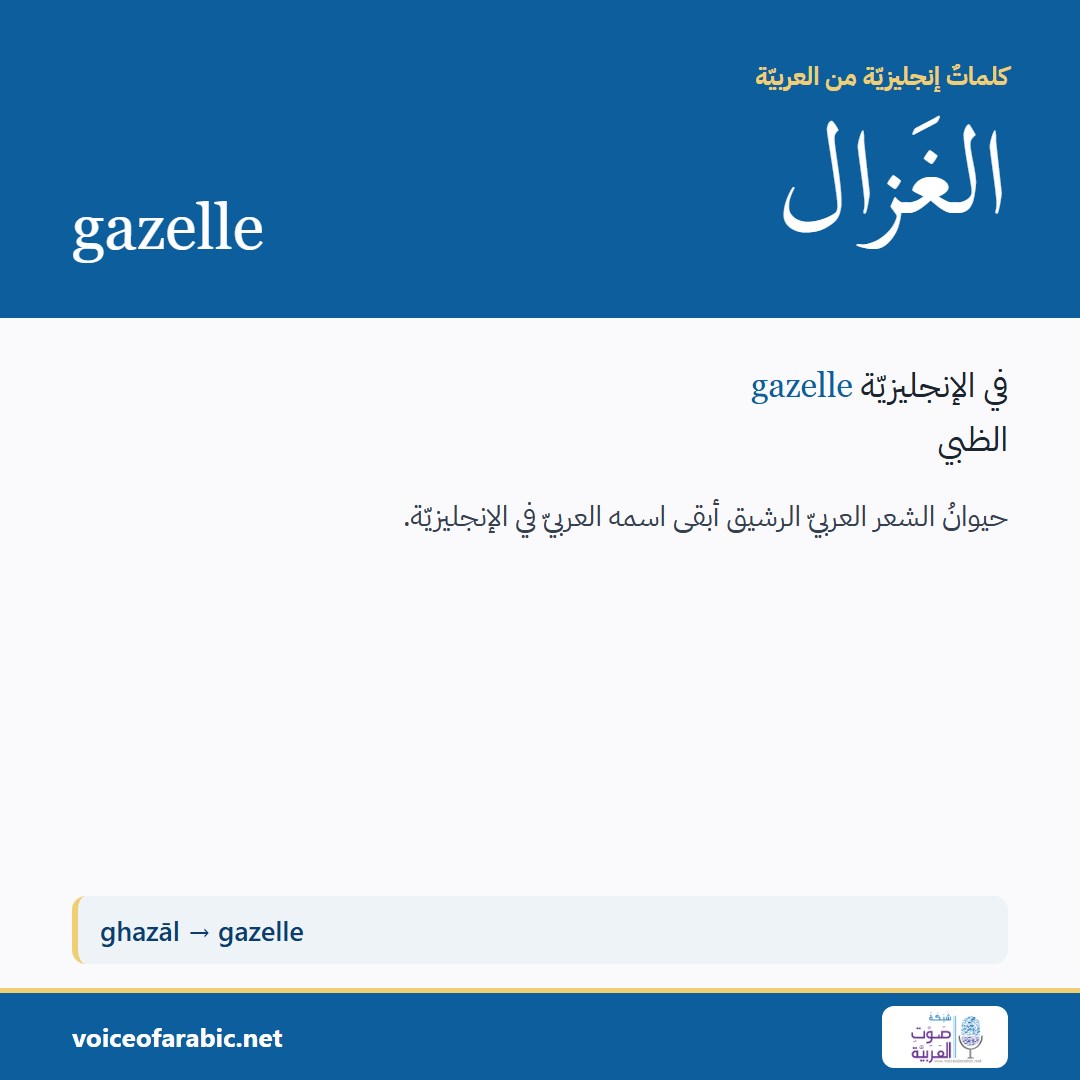 تنزيل البطاقة العربيّة
