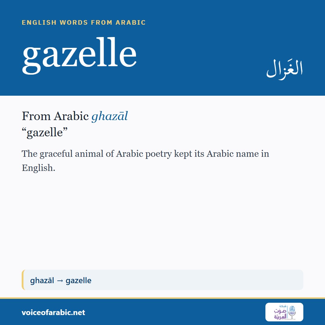 تنزيل البطاقة الإنجليزيّة