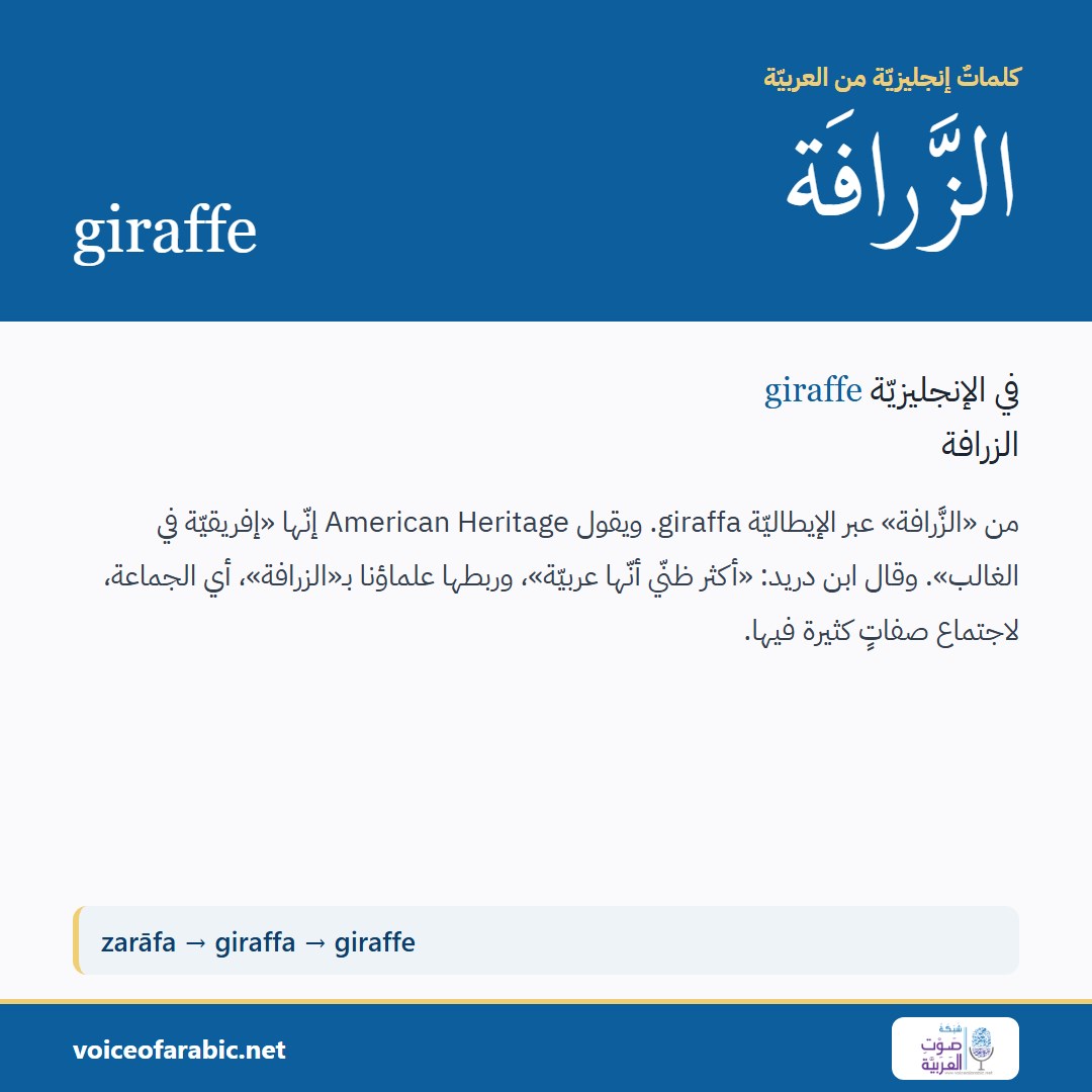 تنزيل البطاقة العربيّة