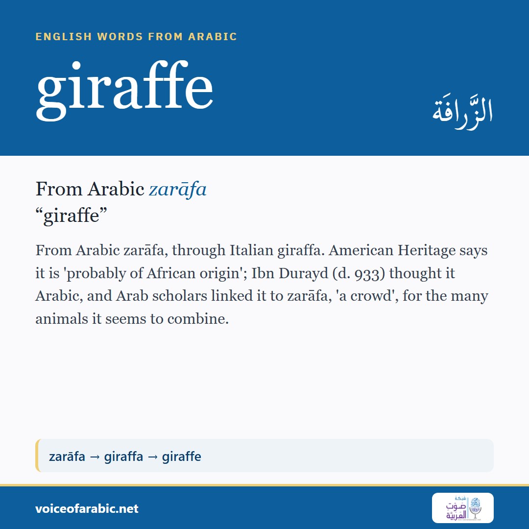 تنزيل البطاقة الإنجليزيّة