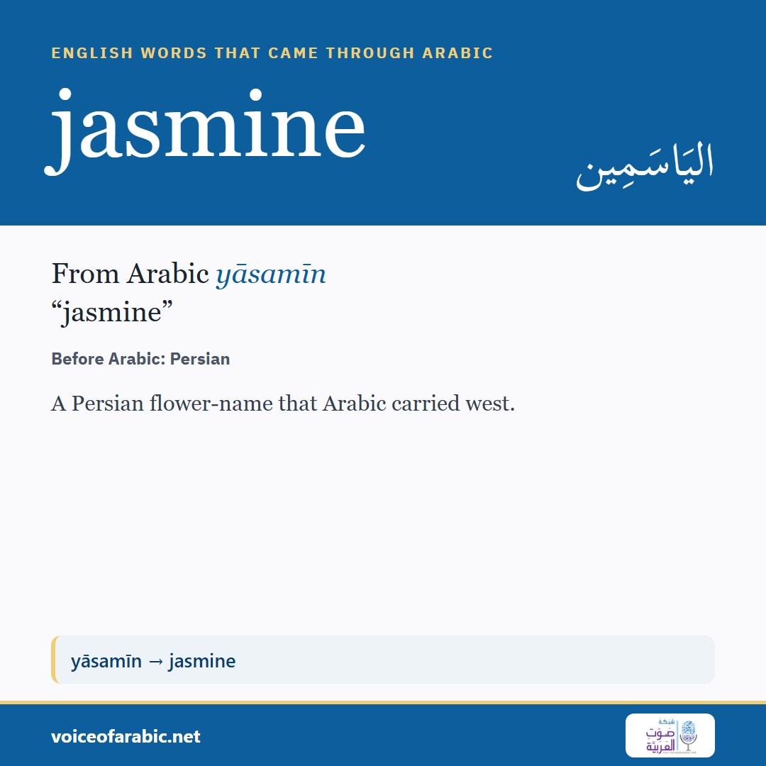 تنزيل البطاقة الإنجليزيّة