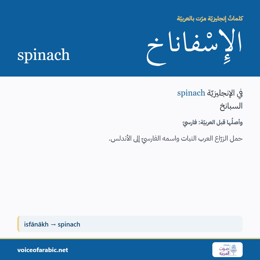 تنزيل البطاقة العربيّة
