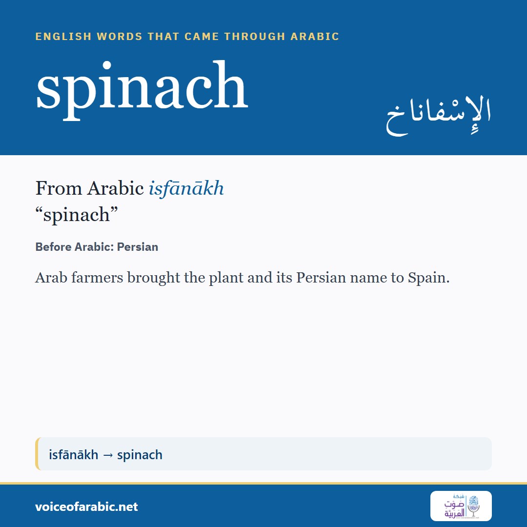 تنزيل البطاقة الإنجليزيّة