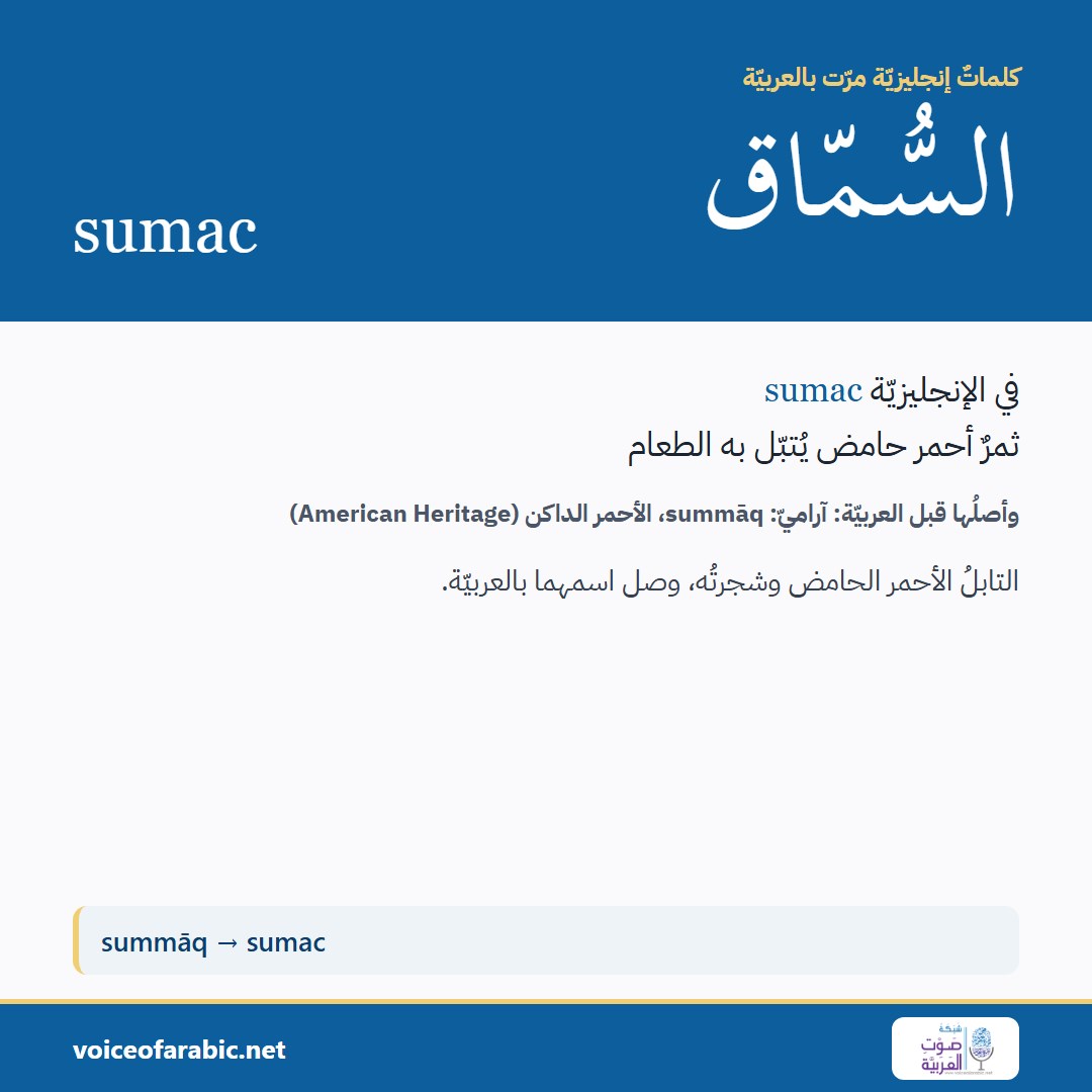تنزيل البطاقة العربيّة