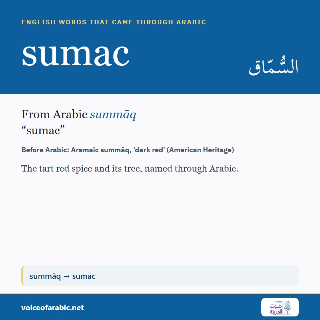 تنزيل البطاقة الإنجليزيّة