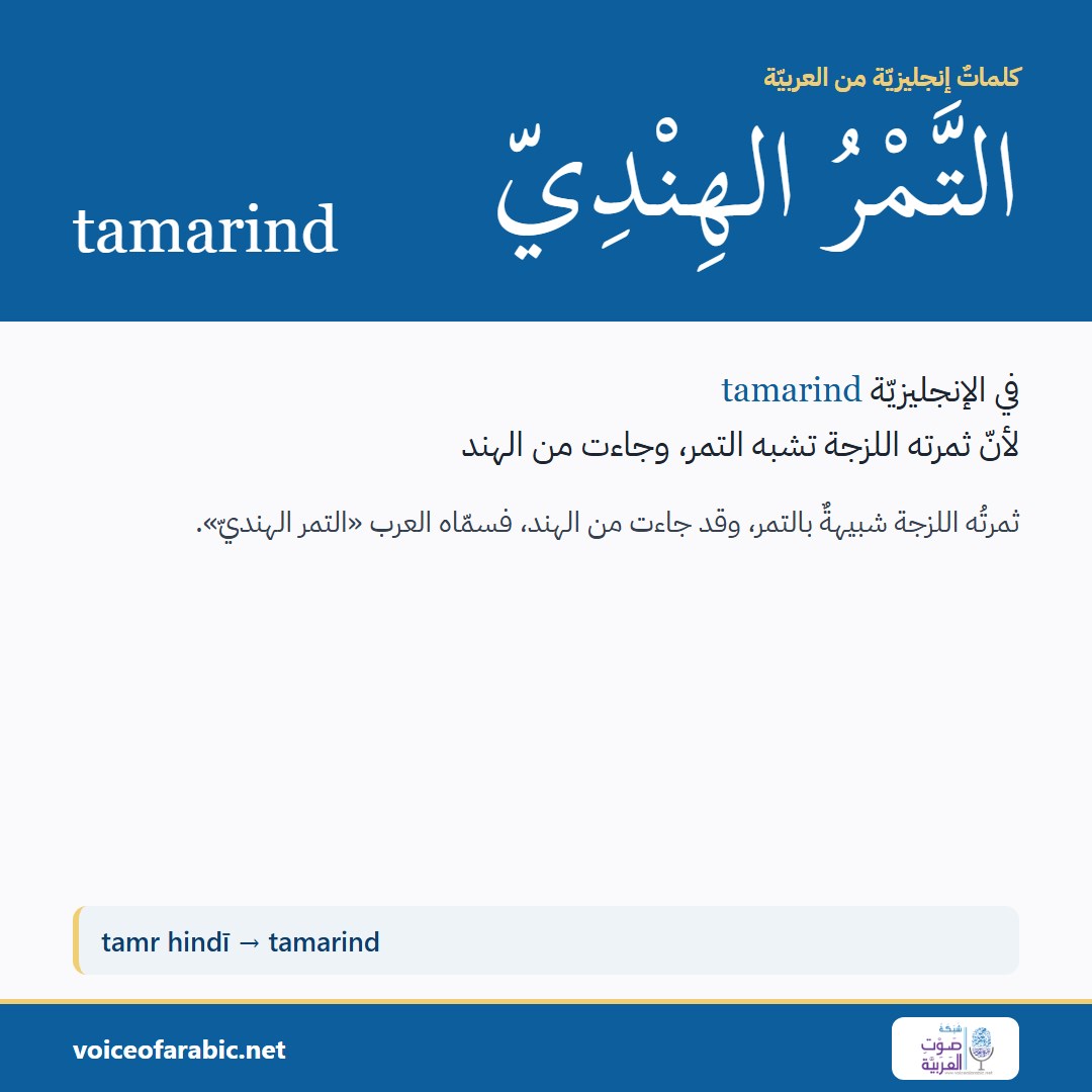 تنزيل البطاقة العربيّة